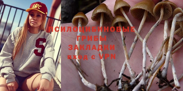 соль курить ск Арсеньев