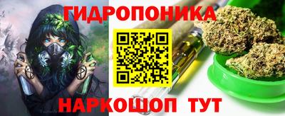 прущие грибы Балаково