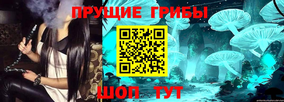 где можно купить наркотик  Псилоцибиновые грибы Magic Shrooms  Вход с VPN  Долгопрудный 
